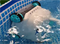 Вакуумный пылесос  ZX300 для каркасных бассейнов Intex 28005 - фото 20684